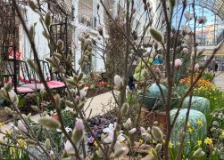 Fruehling In Der Goethe Galerie  Februar 2026 18